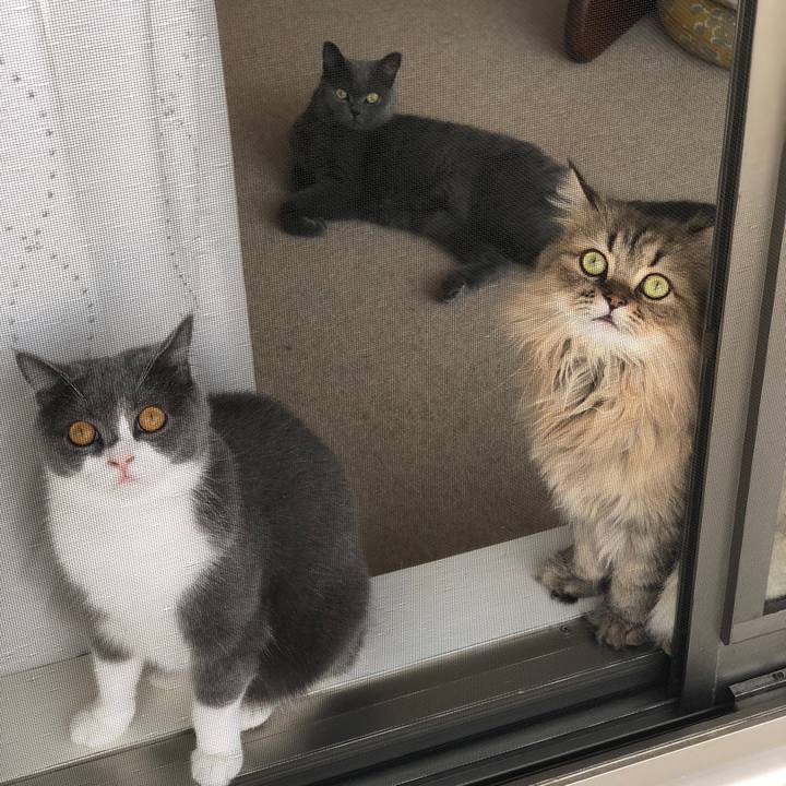 Adeebe34 517d 4196 a7d1 7d3060809a4e 1533425429136