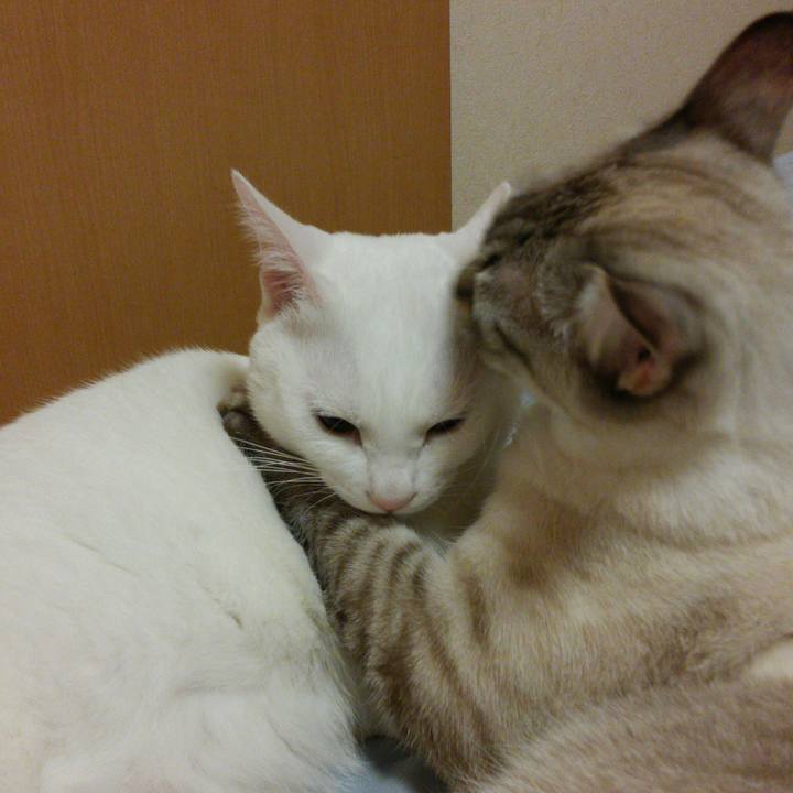 Adeee64d f511 4fb2 a7d1 57ac9aeef2f9 1513008777150