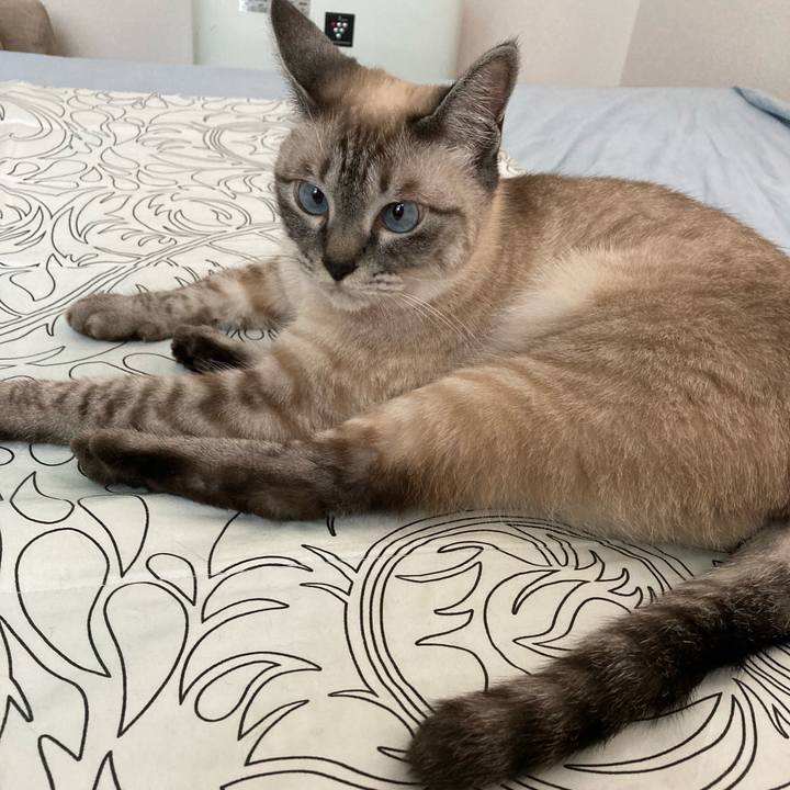 Adeeedc5 1a31 48e2 a5bf 8e5bdac6917b 1624233897523