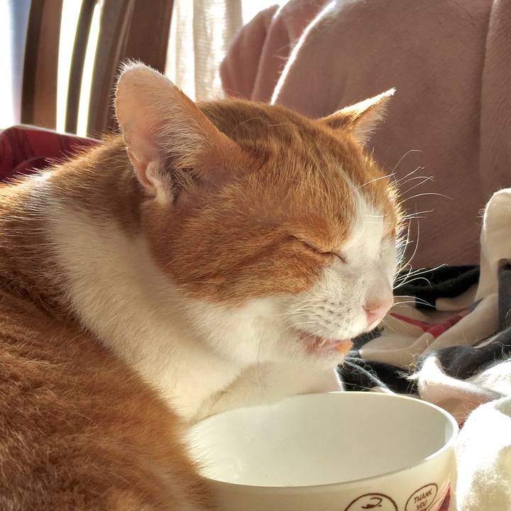 Adef32eb b654 4410 8180 de09adb189c2 1578045963502