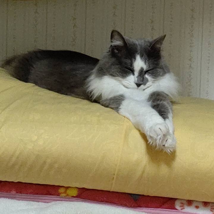 Adef3372 2895 4836 841e 48f180e1767b 1581853415388