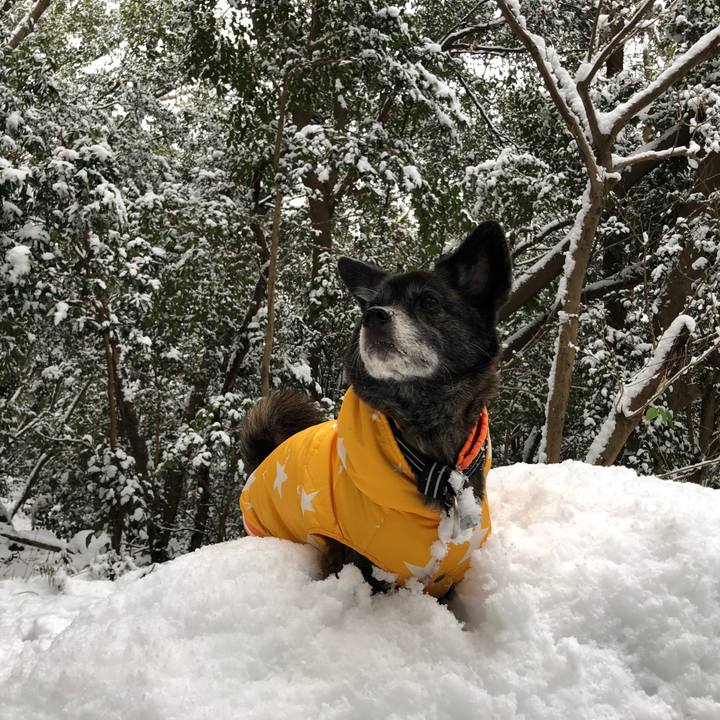 Adef35c7 7289 4e3a 8b94 1ba872909d8e 1612523664782