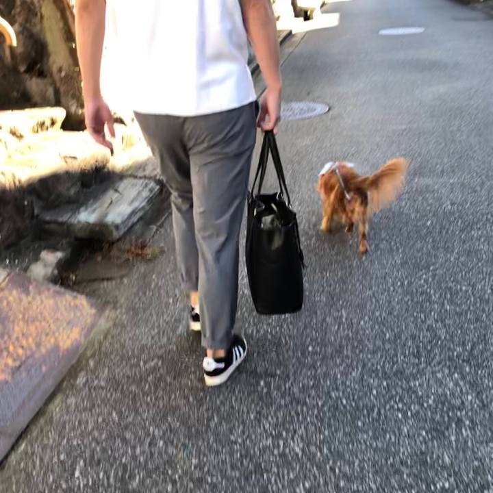 Adef69db 69cd 4c50 9f5b a854d9fa15a2 1599867337863