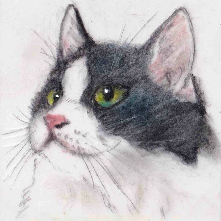 Adef73d8 8a26 4c4d a79f f0b79b5ff08a 1660178365688