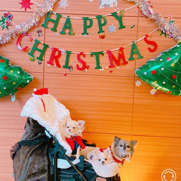 Adef951c fcb1 40bc 9734 46eb81d4fb06 1640304593581