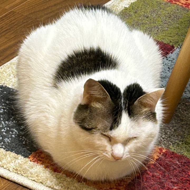 Adefef01 b0c7 4d8b b9a1 1e6adc319923 1761370390958