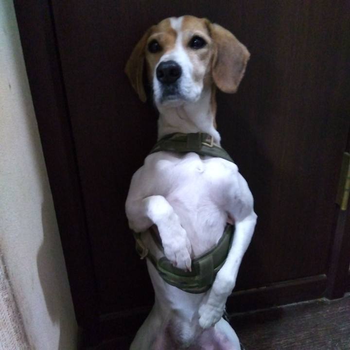 Adf013d5 4509 4c83 8ba7 315dff8841d3 1675071349218