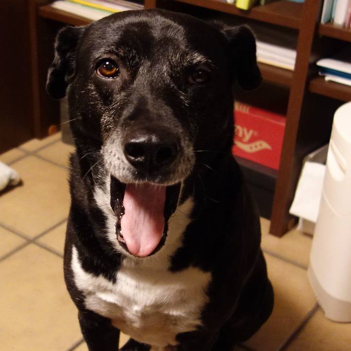 Adf02200 305a 4a5e 9157 6dea88ee4e2c 1746011554260