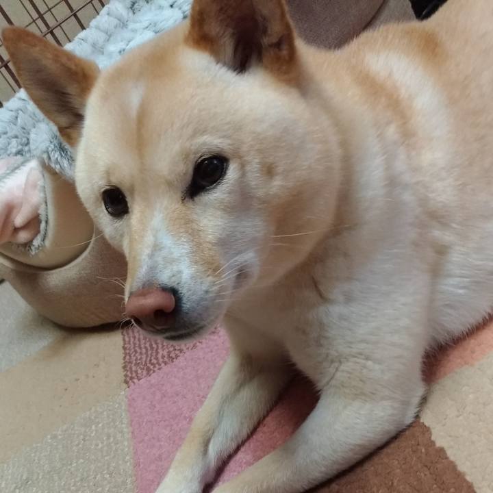 Adf02f19 9538 4f86 94b9 21665994d106 1583876283073