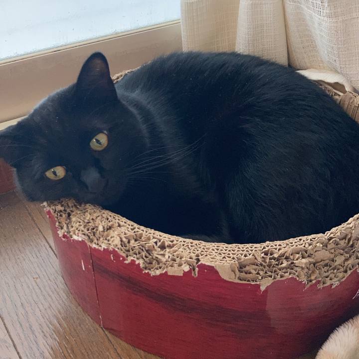 Adf03987 90fb 4bae b126 e2fae36e629a 1635986979133