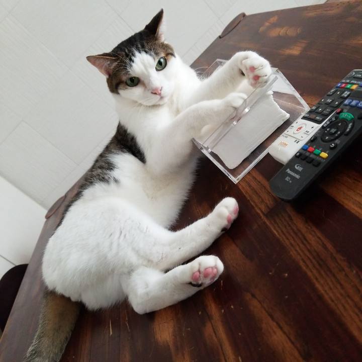 Adf05110 a050 4621 929b 3f95672bf90f 1560808289510