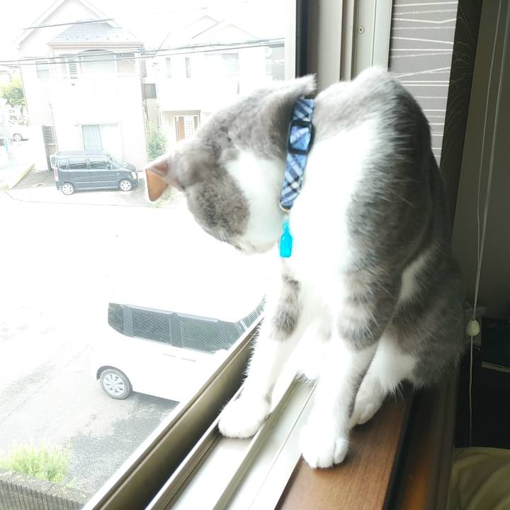 Adf09845 3e77 4ddd 96cb 698f7ff6ae85 1595549724235