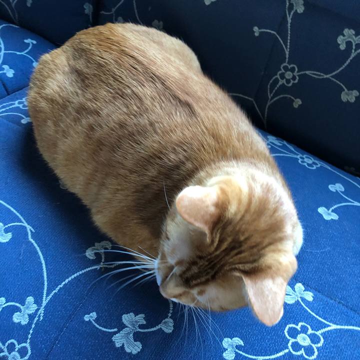 Adf09f4a 638f 4b01 93cb 9ca3b3dfed97 1570091463167