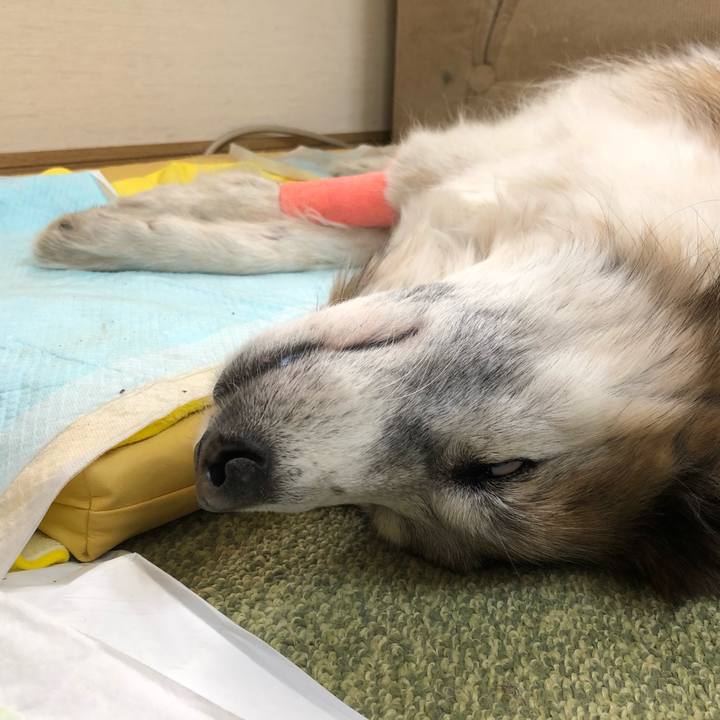 Adf0ce3b 8f2f 43c2 8703 fad53edb0d7f 1519018102254