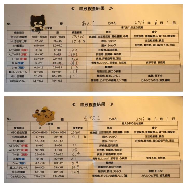 Adf0eae4 dbed 46fb bbdf 66aeab5072bf 1559355260369