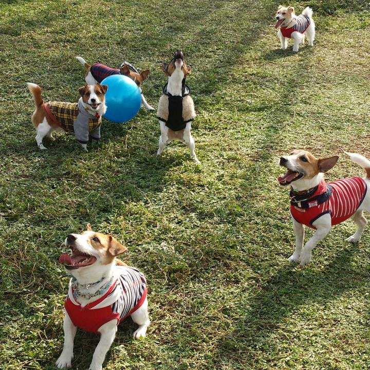 Adf115a4 eefb 44ef b017 f52d98aca8ea 1511696949987