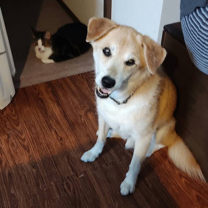 Adf1181b d500 465d b86f 71e80ba25bc3 1628409479623