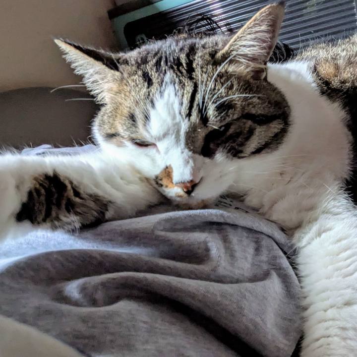 Adf125a8 4dbc 4b1d bc5b 719bd5da2f64 1749858153863