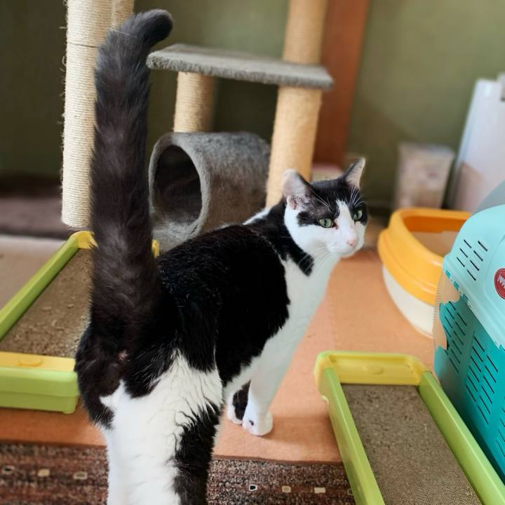 Adf12a35 17f7 4c0b b816 3e86e7fd7e85 1597627273611