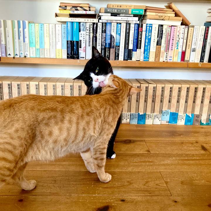 Adf14f05 bae1 4c29 9113 f323c753036e 1626912680012