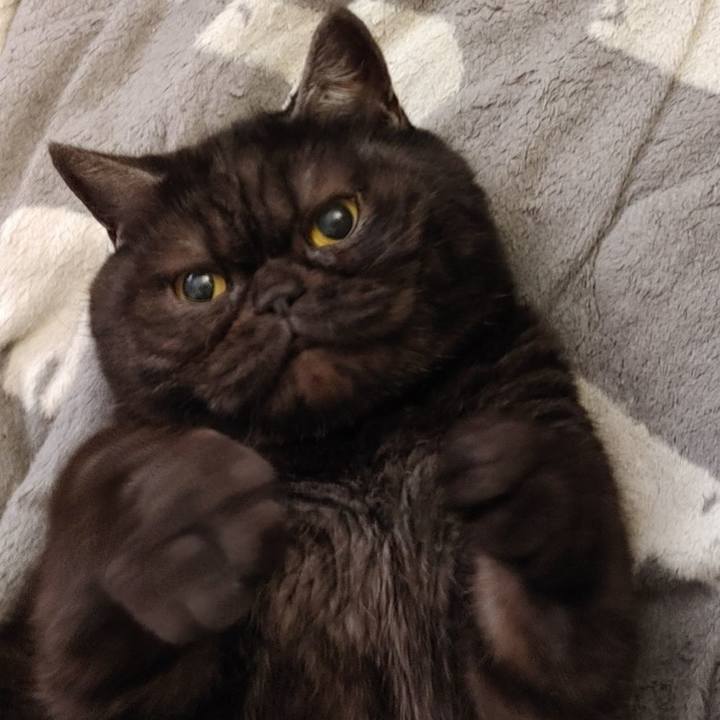 Adf169cc 1a19 4d45 935a 130a34ab69db 1614401400598