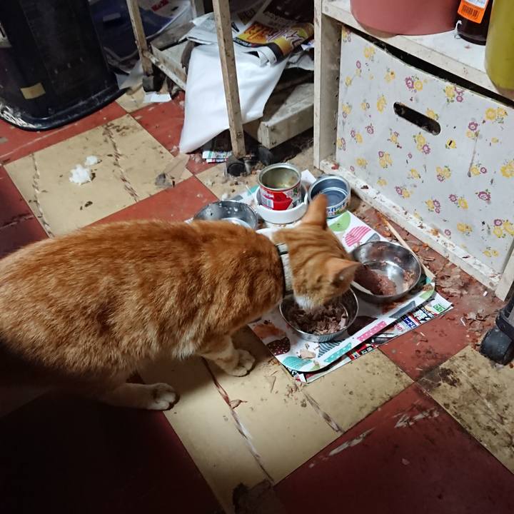 Adf223f4 8960 4598 87ec df09a71b917f 1591131325456