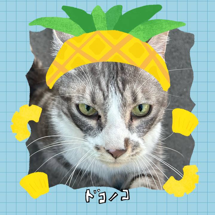 Adf29c0b b5be 41f9 8e3a c40df108e9da 1783508392280