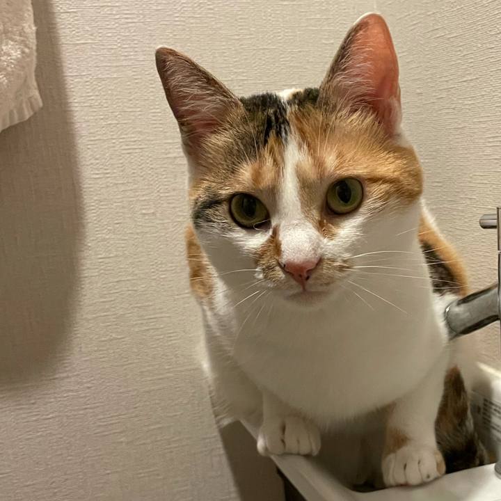 Adf2c5be 6d2e 4583 bbc2 c5b8946f0ea0 1623717252661