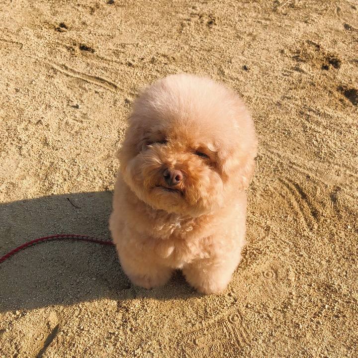 Adf2f7af 19ae 40de 8e1f 2e2bd8844321 1510882609284