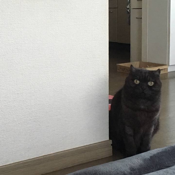 Adf30721 423d 4206 bc8e 3ad9fbc09c4f 1548024575462