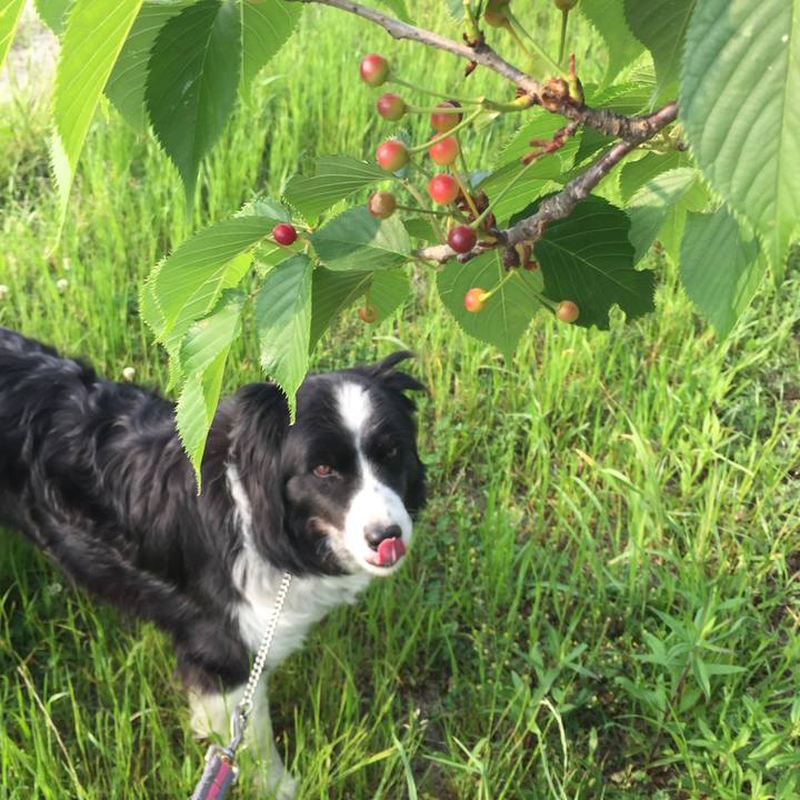 Adf32309 03dc 43e2 b956 d9e1c5ca7131 1557621597178