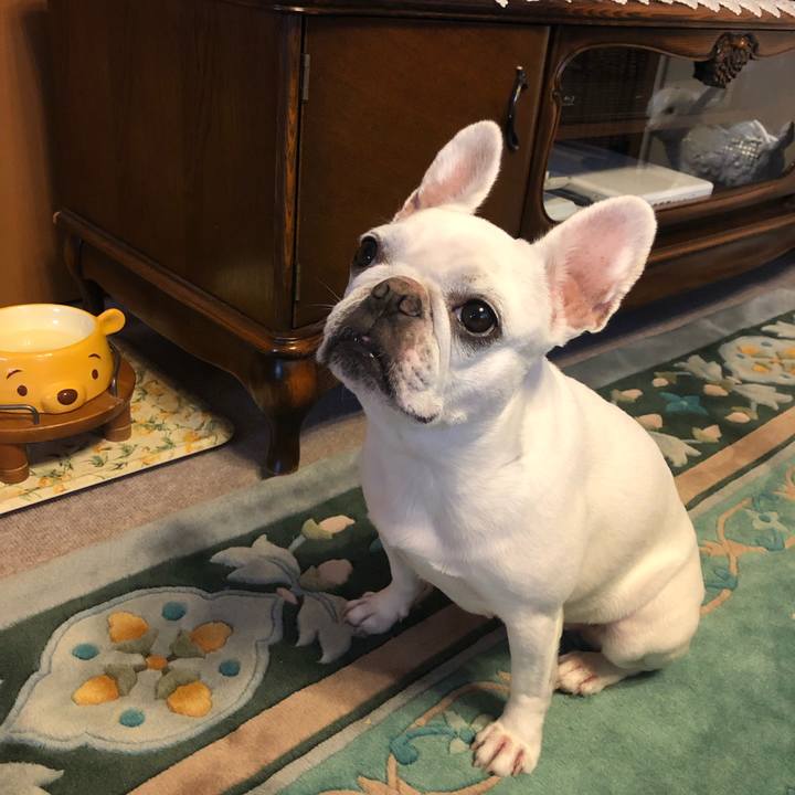 Adf3364a e44a 4c20 97ab 401ad54e265c 1630220584667