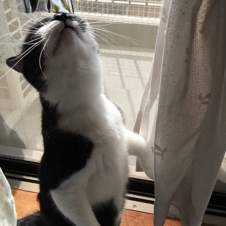 Adf3a078 3d46 42c9 98ae d132909c9258 1573638246657