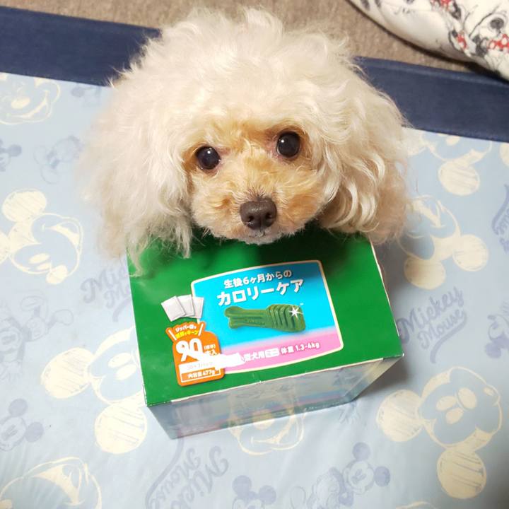 Adf3e498 a5b3 4487 9a6d dcd210b0491e 1635594126555