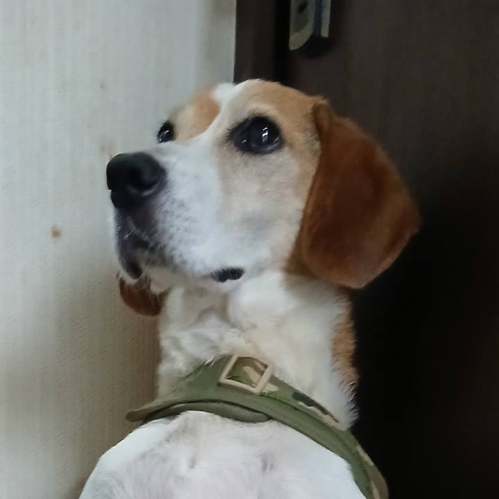 Adf3fc05 c1e0 411d bb7a cf2f77e1ec26 1753696433441