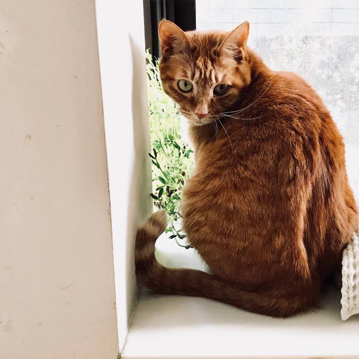 Adf4011e c547 490e 8a41 576e25b6264c 1520749942407