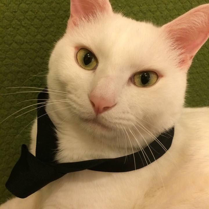 Adf438e6 0360 4440 93d6 edae4710045f 1538814330737