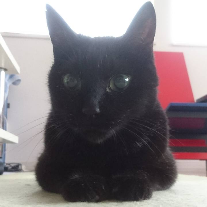 Adf46b02 2ec6 4011 8d97 a8baed28b123 1527205547500