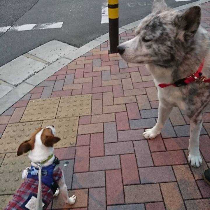 Adf493ba b6cc 4cd7 ae36 ae0410a3c150 1573596194547