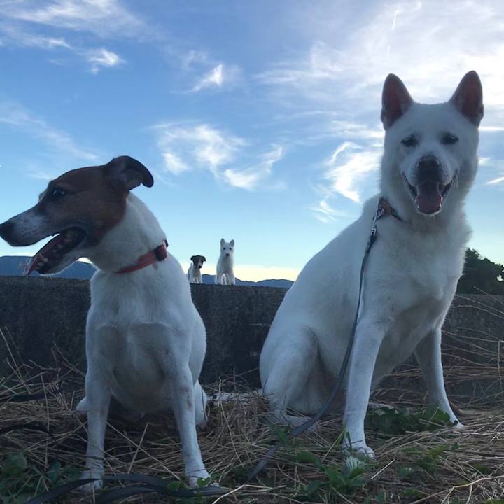 Adf4da2b 8427 4190 81e8 1699658fdbe7 1532264053532