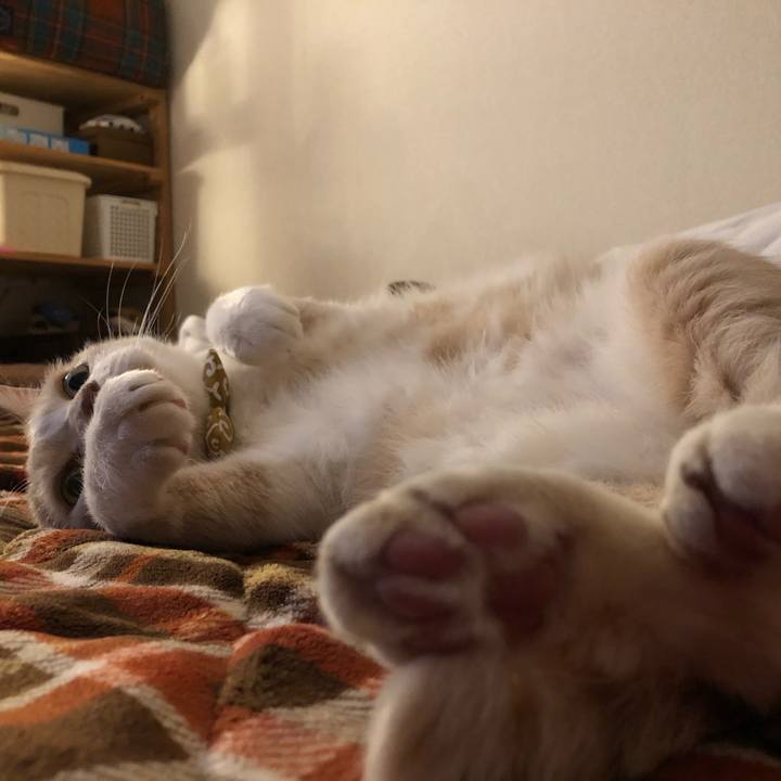 Adf501b1 f7e2 4de1 b77d a8abf378bf70 1583465534763