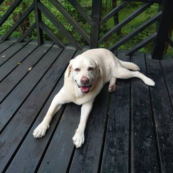 Adf52b95 e68f 49e8 8528 0f5c3de2c16b 1721200322420