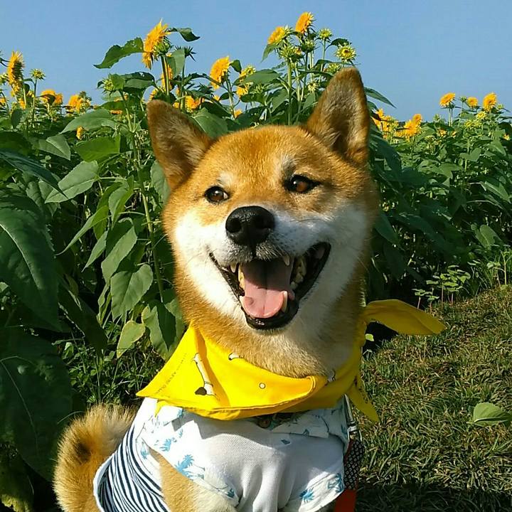 Adf544c8 22c8 4e5d a7ec ad0d2c2fe6c6 1566695407803