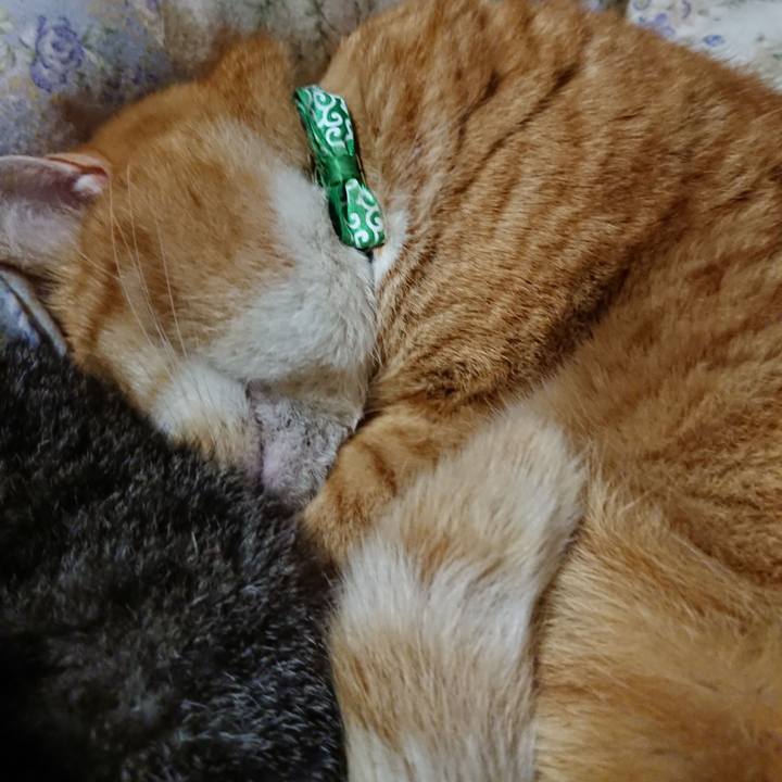 Adf551e3 485b 422c be5a 0eb223378ce8 1580301525996