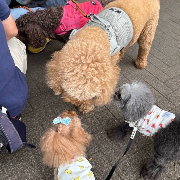 Adf55d5c 8686 4827 8bd0 892595060f8d 1750030689728