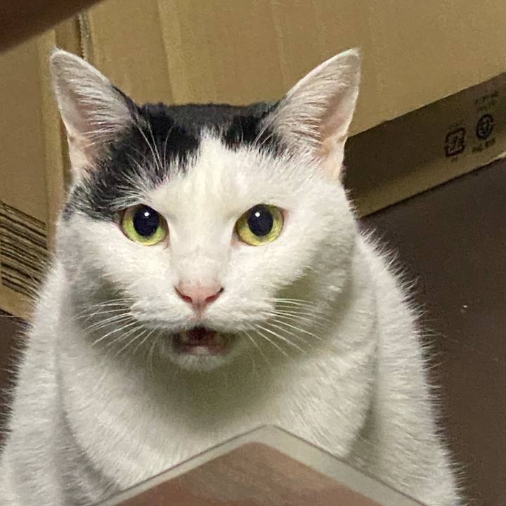 Adf5b4ff 13d8 4b6a 8d27 efd68983913c 1764602166896