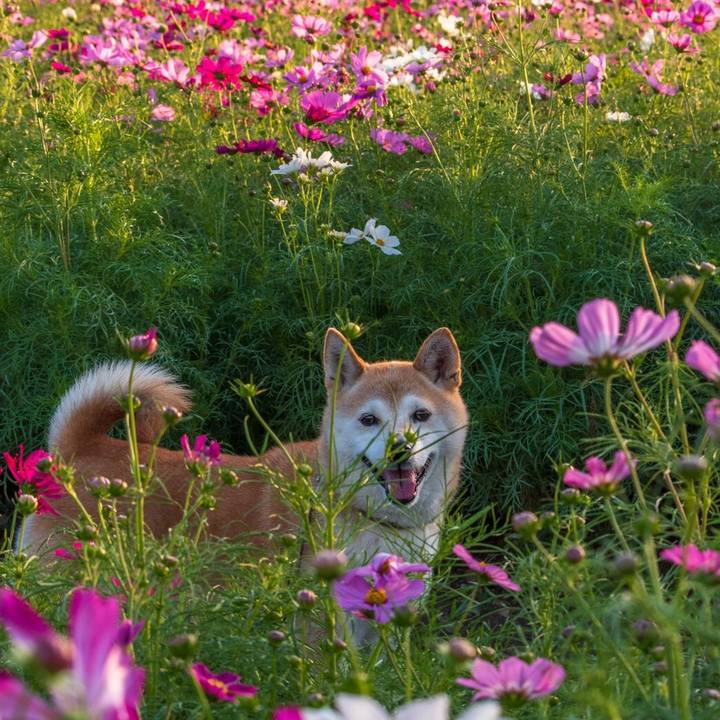 Adf5cef4 2b46 4778 a22b 179499446fe2 1573740176764