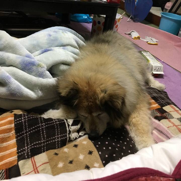 Adf60039 8a30 41a2 bc16 7afd40ed88b0 1564230788873