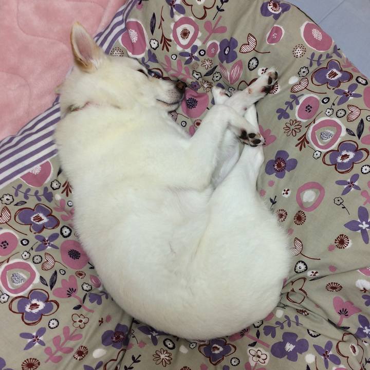 Adf60616 dd3b 4273 bc1d 6a5d7c76b120 1556466478813