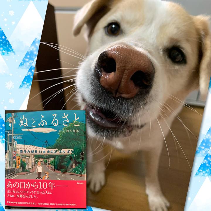 Adf62e1f e903 4e30 9fd2 c0293b64bcbc 1613776306113